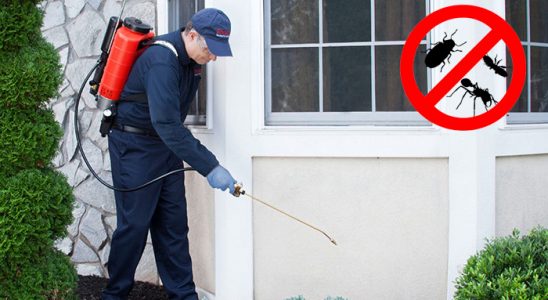 Kırkağaç Dezenfeksiyon böcek ilaçlama ve haşere kontrolü — ilaclama-tr.com